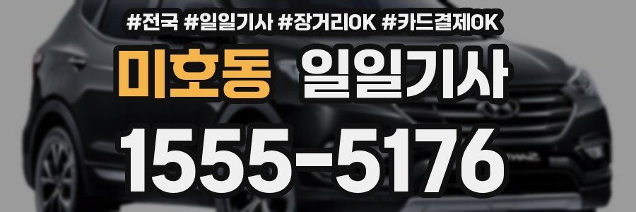 미호동 일일기사
