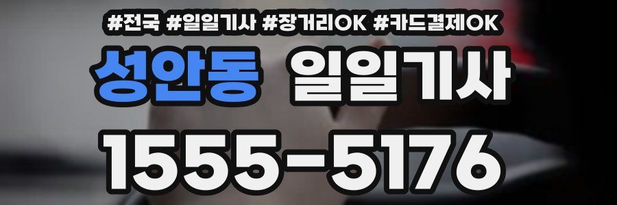 성안동 일일기사