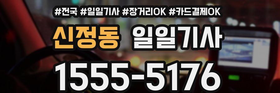 신정동 일일기사