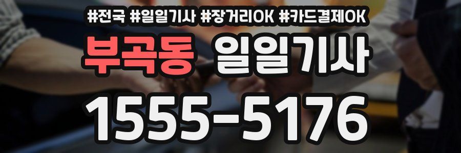 부곡동 일일기사