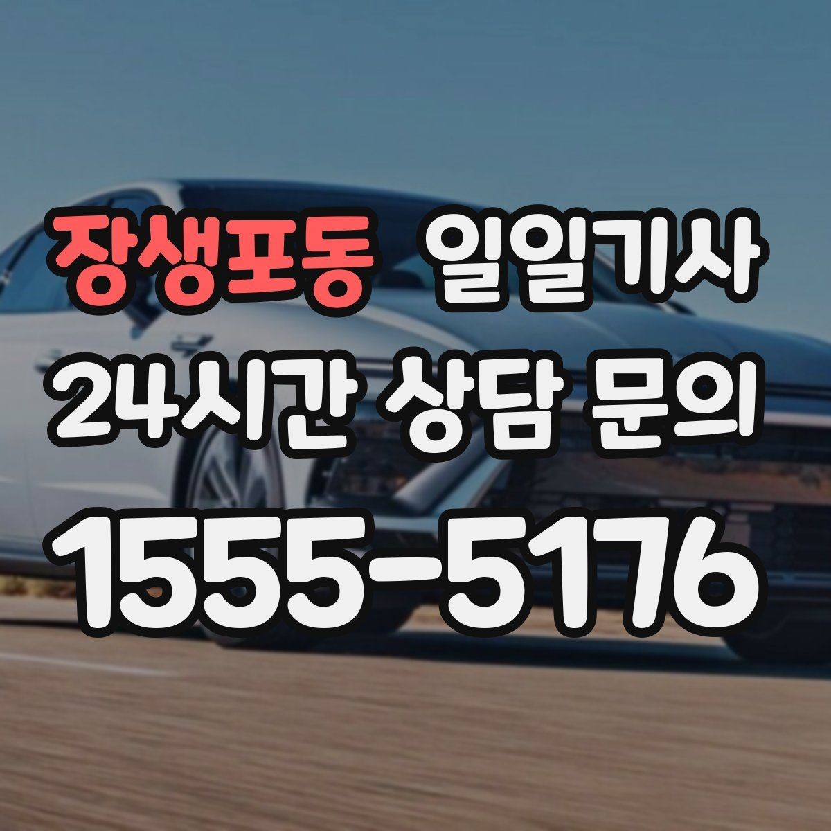 장생포동 일일기사 촘촘한 일정 스트레스 완화