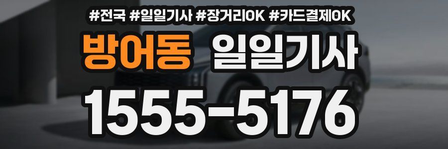 방어동 일일기사