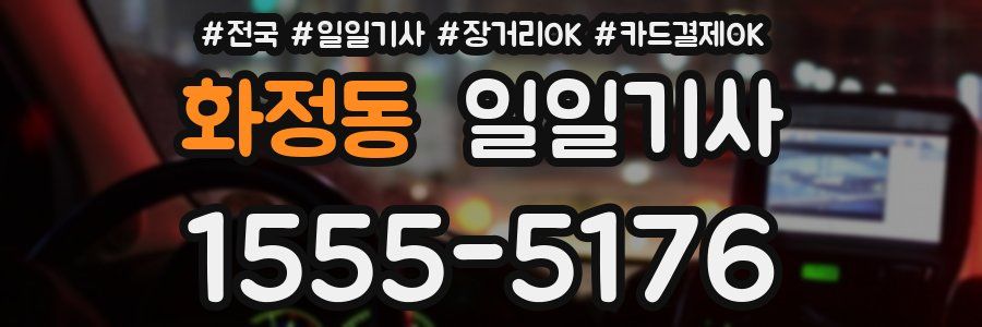 화정동 일일기사