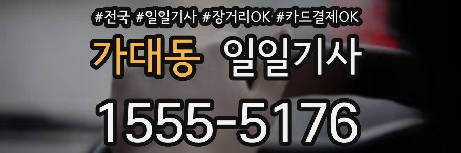 가대동 일일기사
