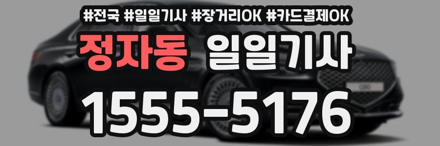 정자동 일일기사