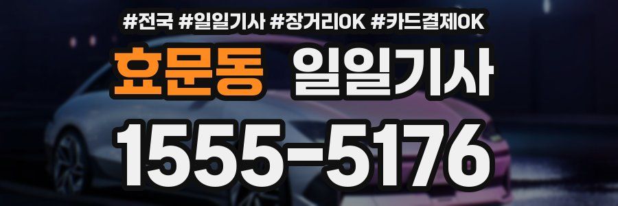 효문동 일일기사