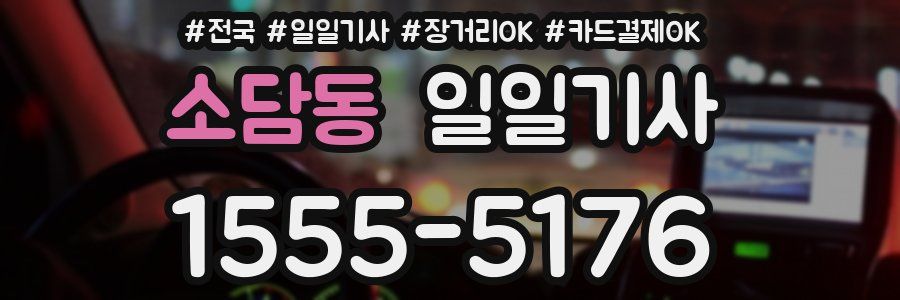 소담동 일일기사