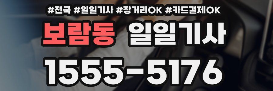 보람동 일일기사