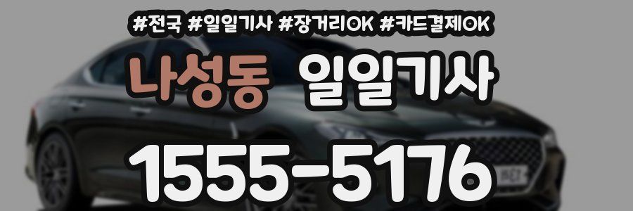나성동 일일기사