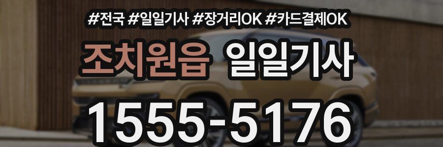 조치원읍 일일기사