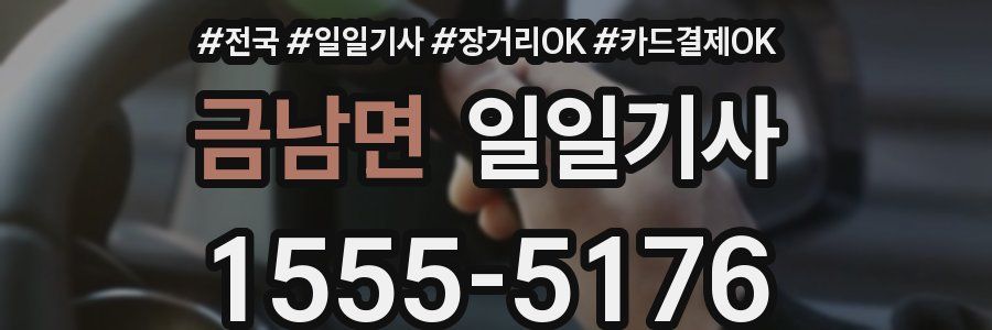 금남면 일일기사