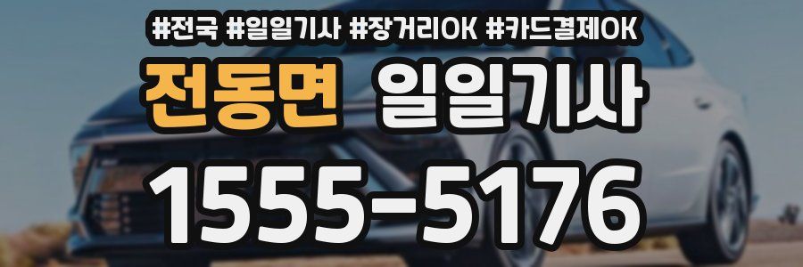 전동면 일일기사