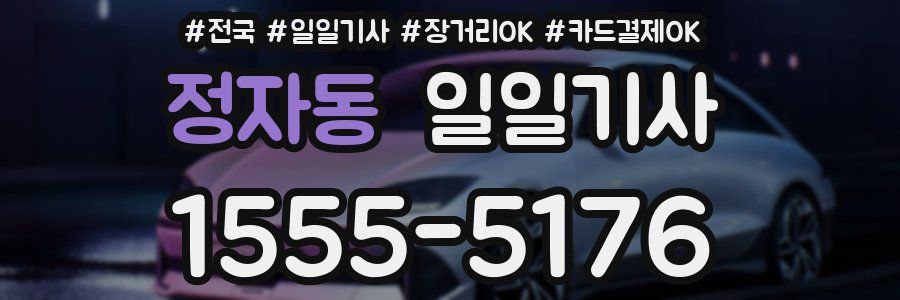 정자동 일일기사