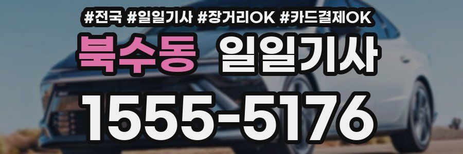 북수동 일일기사