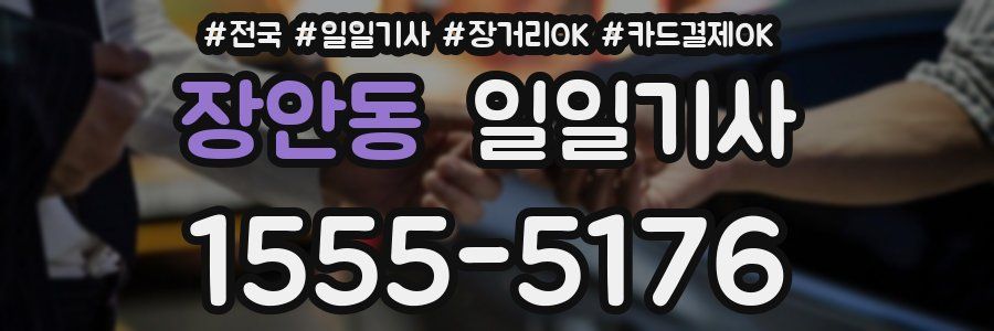 장안동 일일기사