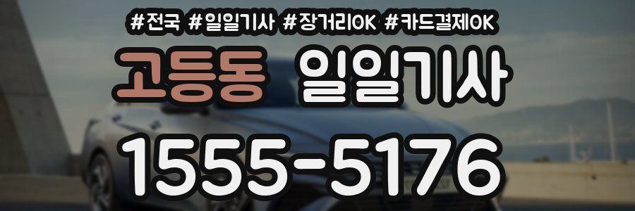 고등동 일일기사