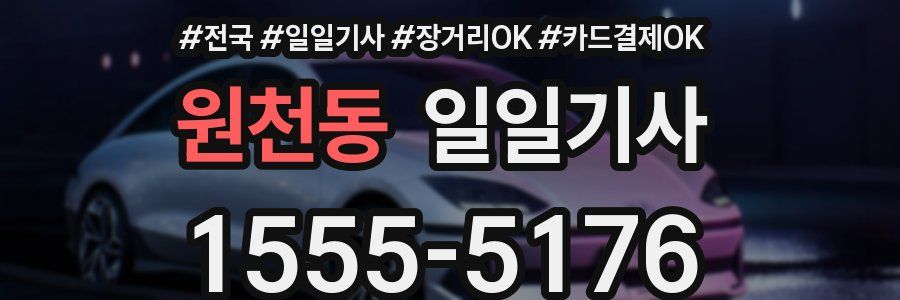 원천동 일일기사
