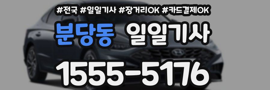 분당동 일일기사