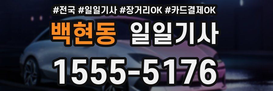 백현동 일일기사