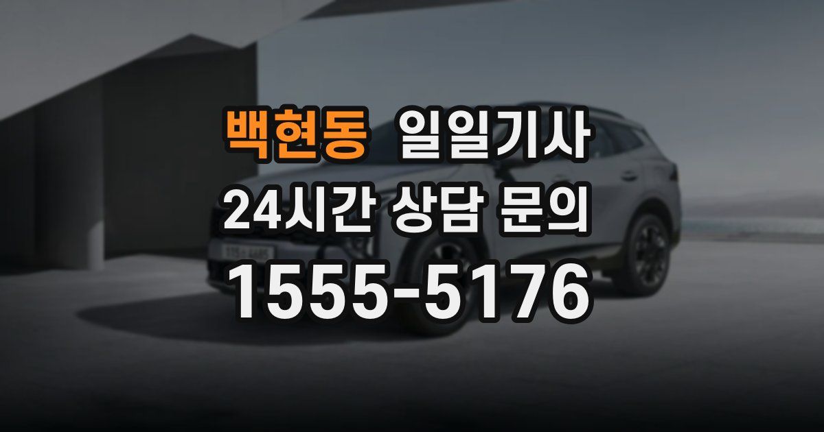 일일대리기사