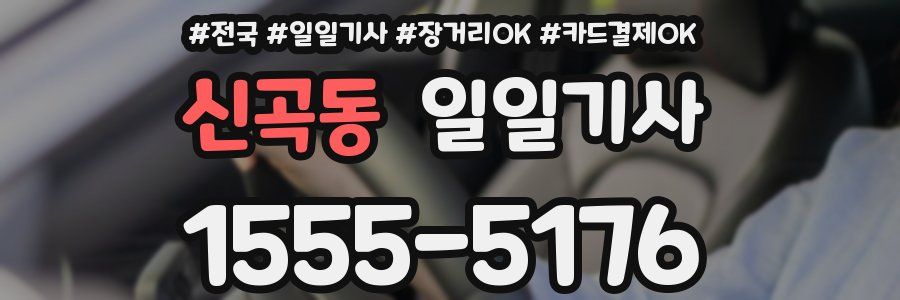 신곡동 일일기사