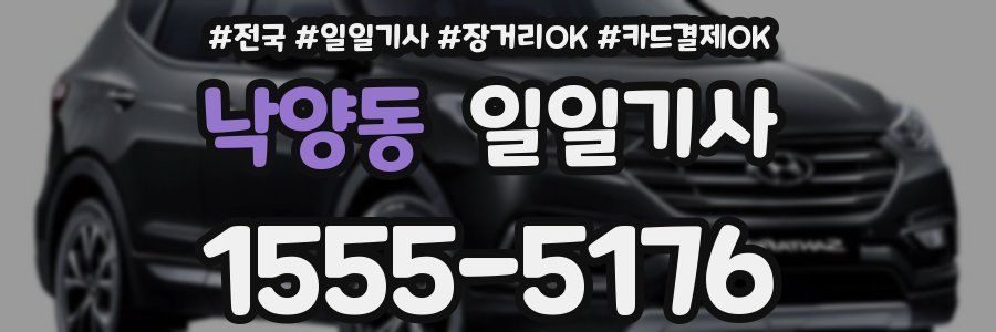 낙양동 일일기사