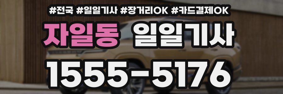 자일동 일일기사