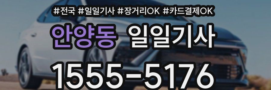 안양동 일일기사