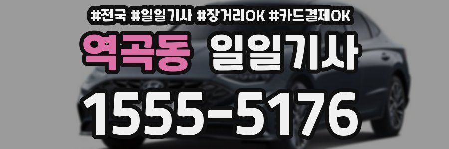 역곡동 일일기사