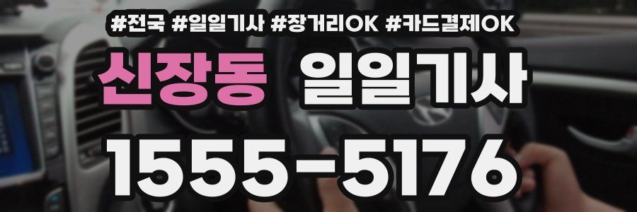 신장동 일일기사