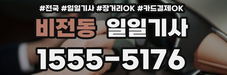 비전동 일일기사