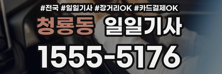 청룡동 일일기사