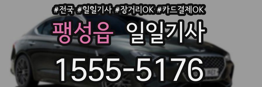 팽성읍 일일기사