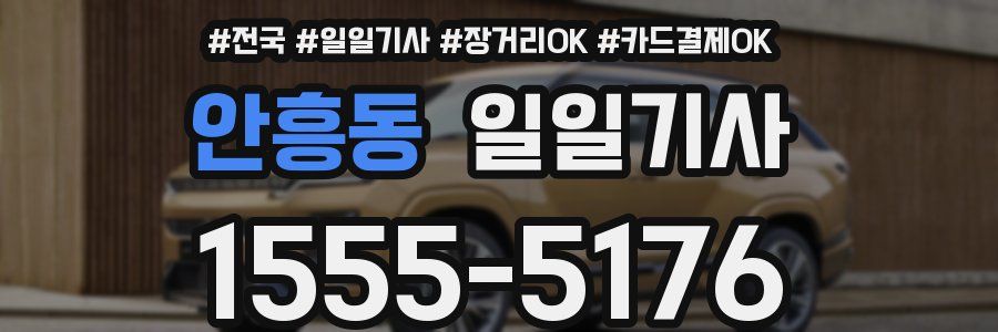 안흥동 일일기사