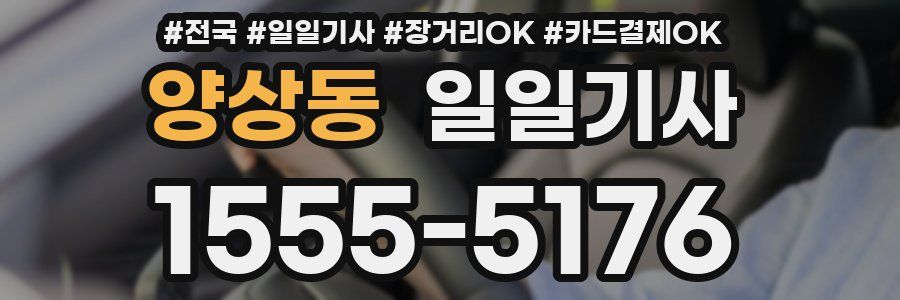 양상동 일일기사