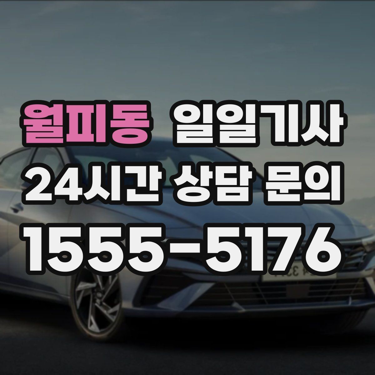 월피동 일일기사 터미널 이동 정확 운행