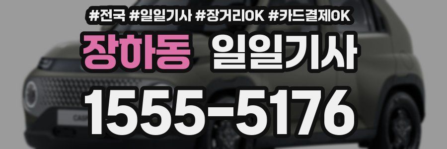 장하동 일일기사