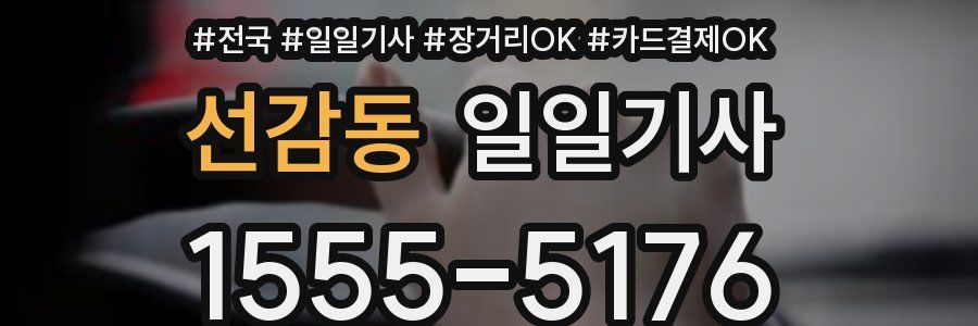 선감동 일일기사