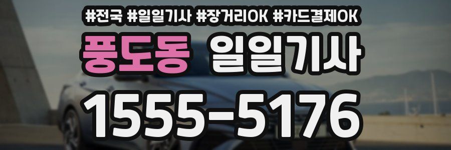 풍도동 일일기사