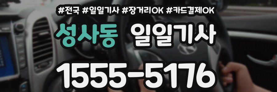 성사동 일일기사