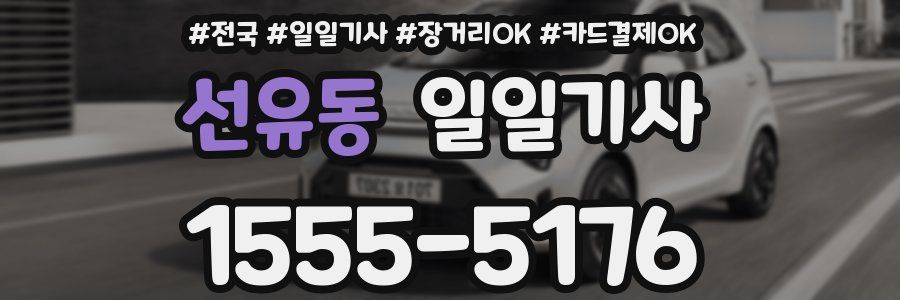 선유동 일일기사