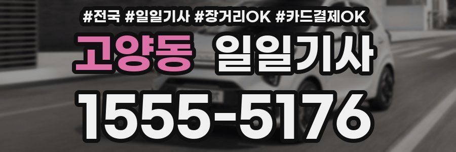 고양동 일일기사