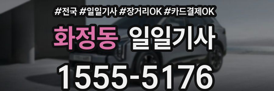 화정동 일일기사