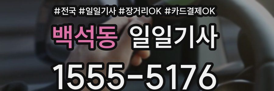 백석동 일일기사