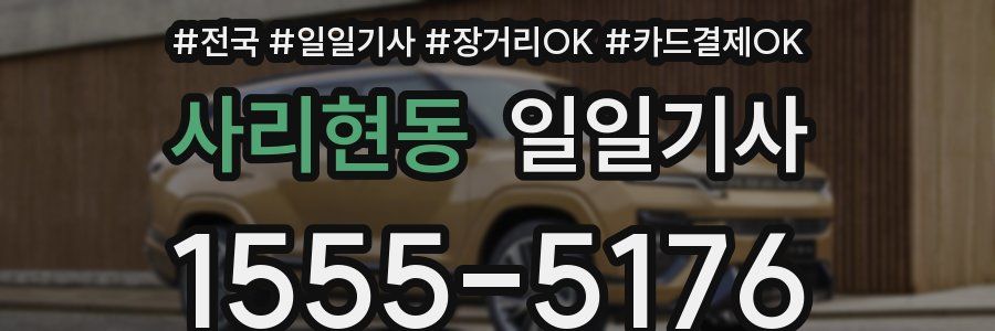 사리현동 일일기사