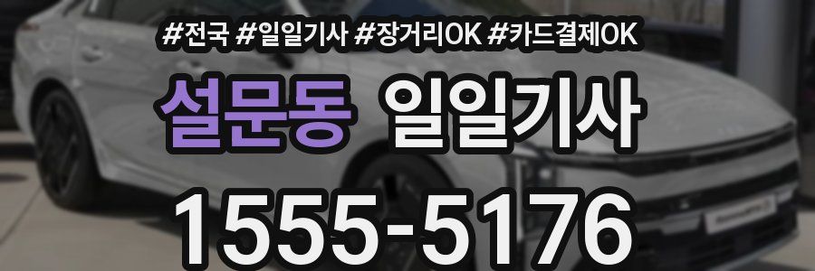 설문동 일일기사