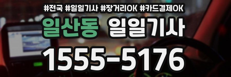 일산동 일일기사