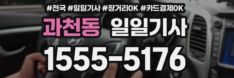 과천동 일일기사