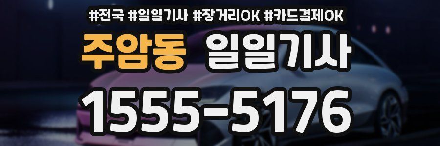 주암동 일일기사