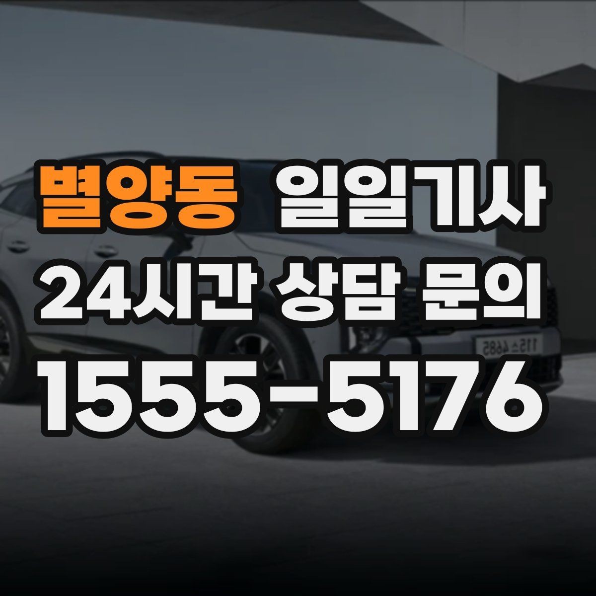 별양동 일일기사 반일 동행으로 여유를 더하는 날